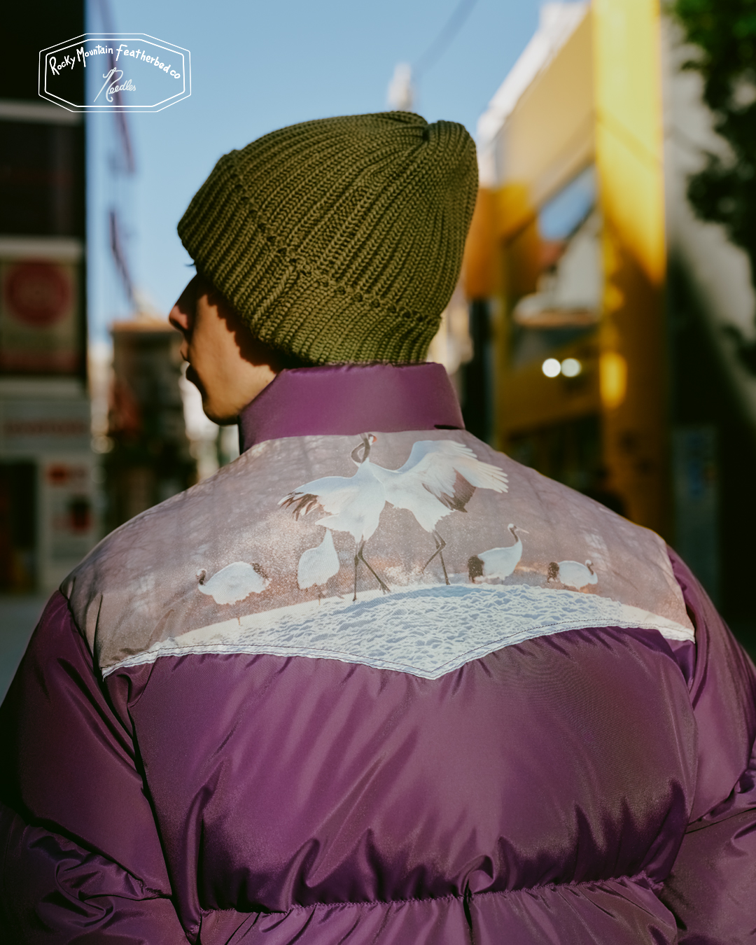 Needles × Rocky Mountain Featherbed